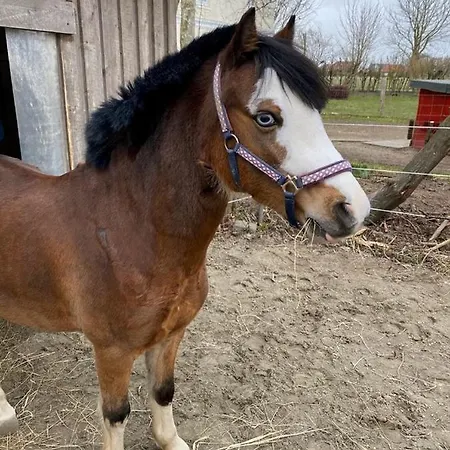 Tjarkshof דירה פרידריכסקוג