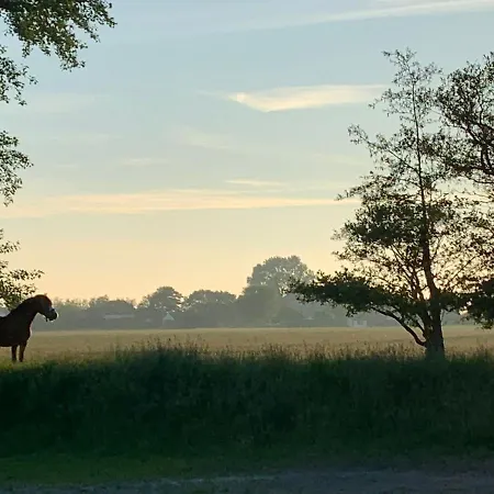 Tjarkshof דירה פרידריכסקוג