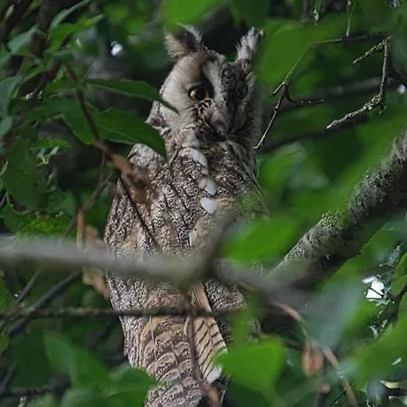 Tjarkshof דירה *