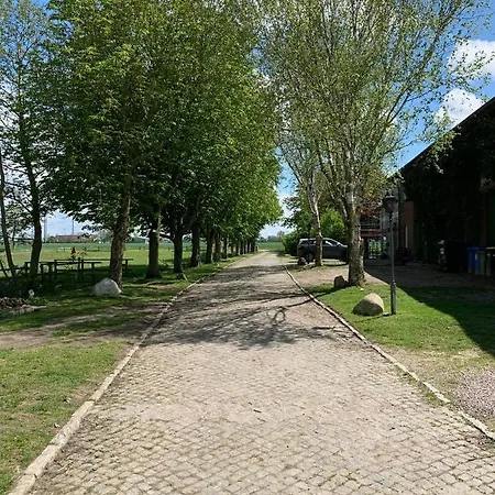 Tjarkshof Daire Friedrichskoog