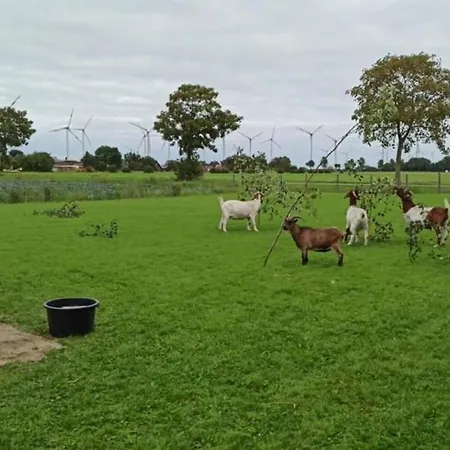 Tjarkshof * פרידריכסקוג