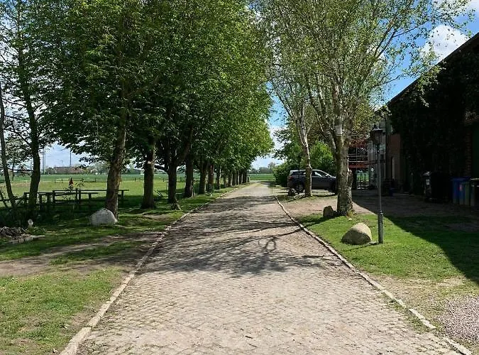 Tjarkshof Appartement Friedrichskoog